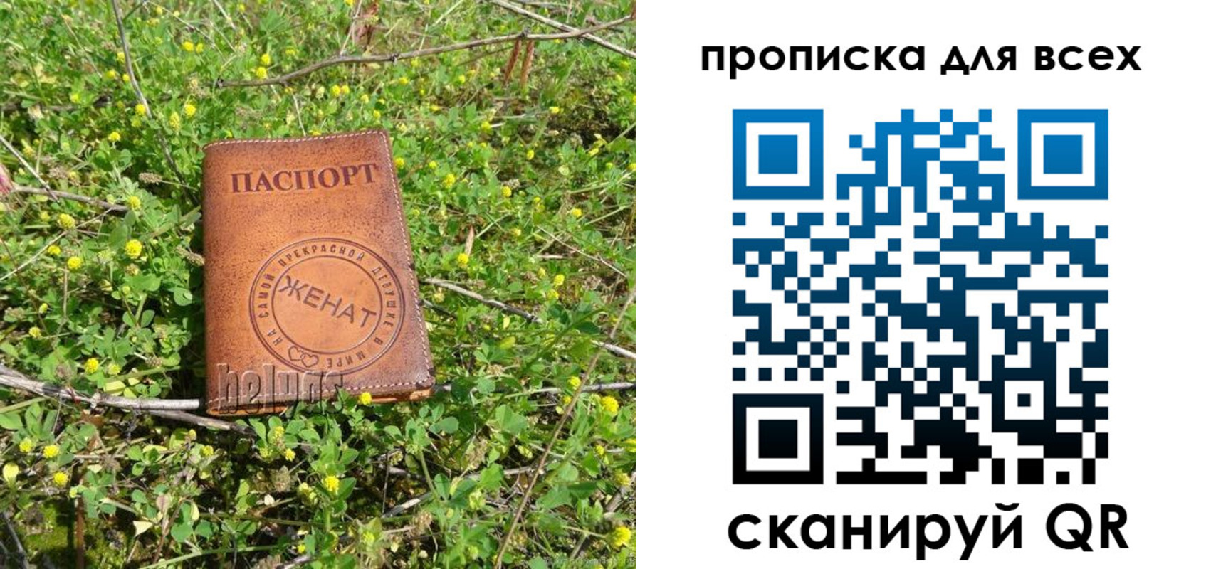прописка поиск в Каменск-Шахтинском